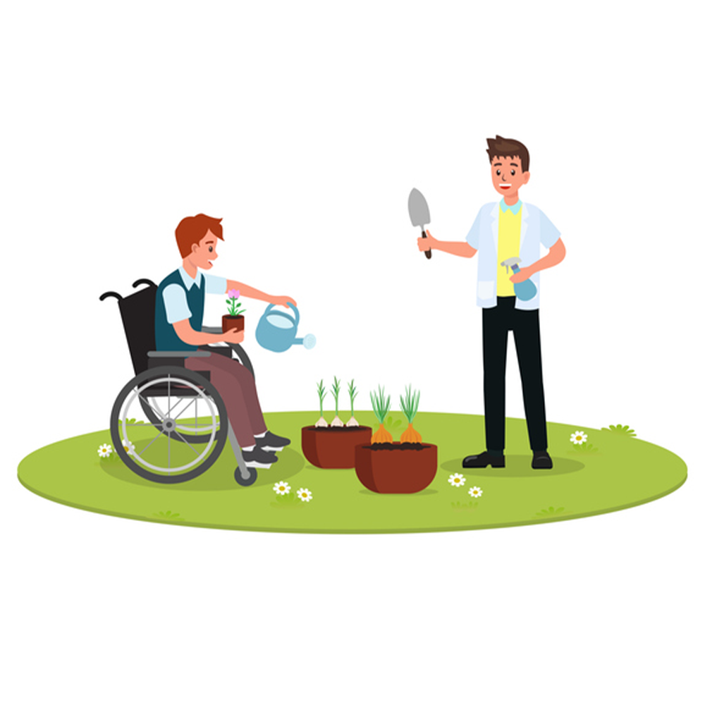 Basic Yard Maintenance